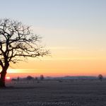 Sonnenaufgang Schoost 14.02.2021