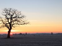 Sonnenaufgang Schoost 14.02.2021