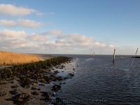 Dornumersiel 14.01.2021