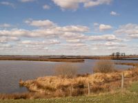 Polder Holter Hammrich 05.03.2021