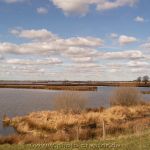 Polder Holter Hammrich 05.03.2021