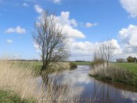 Fahnhusen 06.05.2021