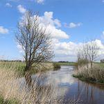 Fahnhusen 06.05.2021