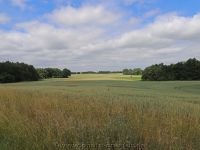 Mecklenburg Vorpommern 03.07.2021