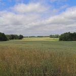 Mecklenburg Vorpommern 03.07.2021