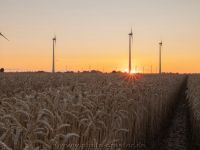Sonnenuntergang Blersum 03.08.2021
