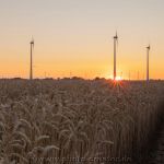 Sonnenuntergang Blersum 03.08.2021