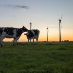 Sonnenuntergang Blersum 03.08.2021