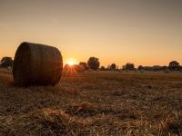 Sonnenuntergang Leepens 30.08.2021