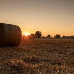 Sonnenuntergang Leepens 30.08.2021