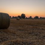 Sonnenuntergang Leepens 06.09.2021